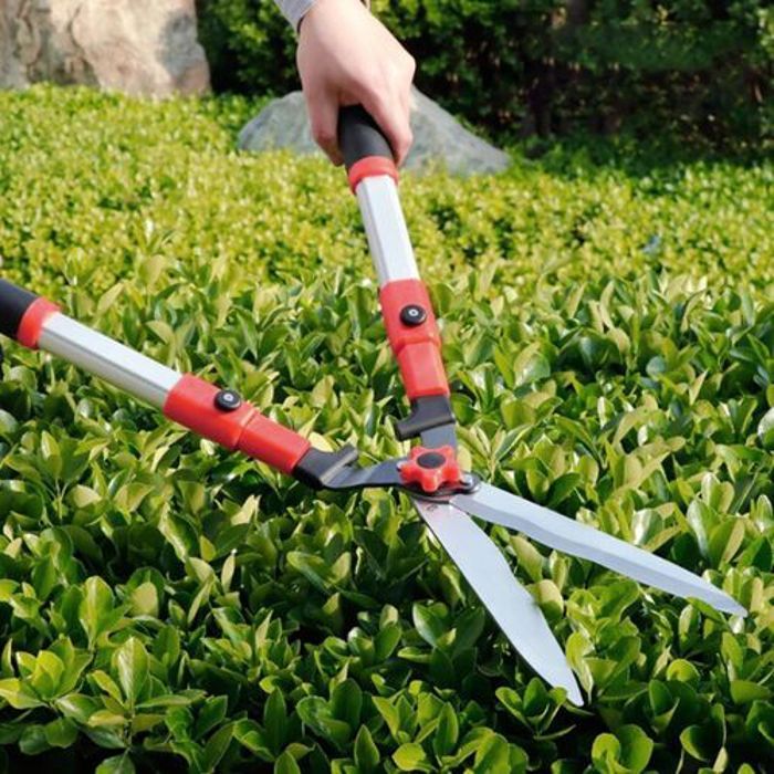 Cisaille de Jardin Extensible, Secateur d'Arbres Telescopique Professionnel