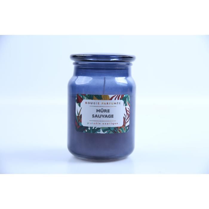 Bougie parfumée Paradis Exotique H14,5 cm M12