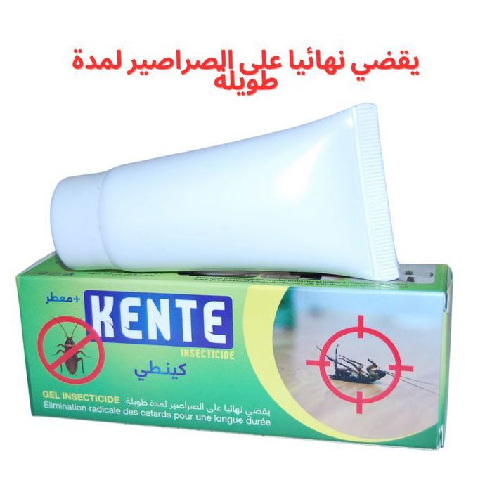 Insecticide Gel Kentek – Élimination Rapide et Durable des Cafards – Usage Domestique