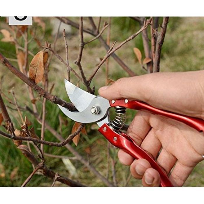 Multifonctionnel Ménage Jardin Ciseaux Greffage Outil Fruits Arbre Sécateur Branche Coupe Fruits Élagage Outil