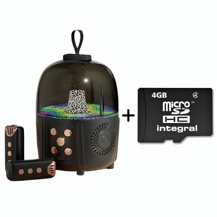Haut-Parleur avec Deux microphone Q-3 Bluetooth + Carte mémoire 4GB - Mini pack