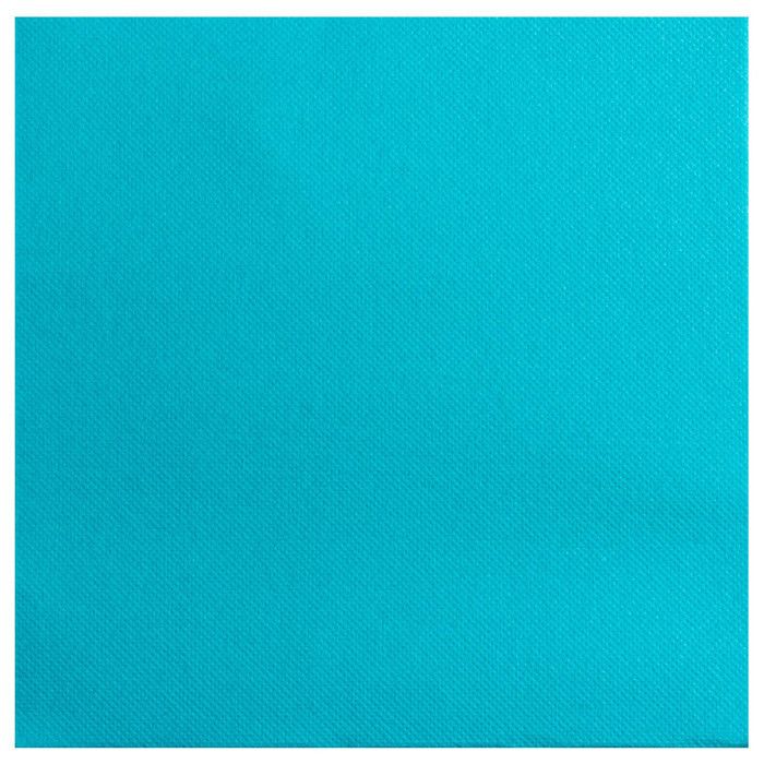 Lot de 40 serviettes 38 x 38 cm 2 plis En ouate micro gaufrée la taille indiquée correspond à la taille de la serviette dépliée