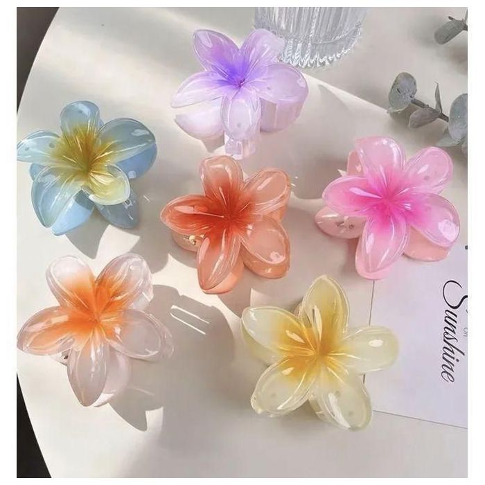 6 Pinces à cheveux élégantes, chic & pratiques, accessoires de plage d'été, pour un look soigné au quotidien