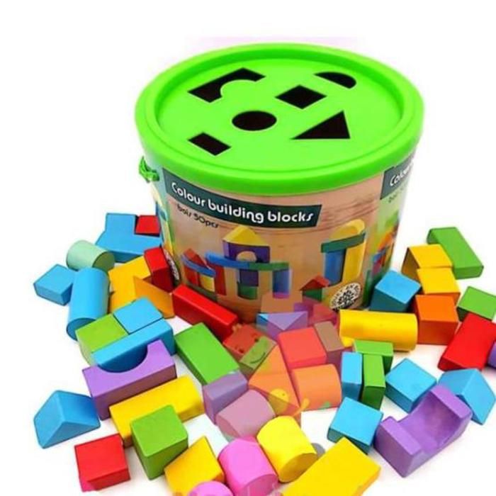 BLOCS DE CONSTRUCTION EN BOIS 50 PCS