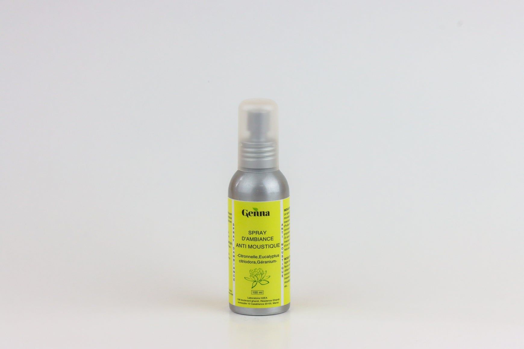Spray d’ambiance Anti moustique - 100 ml