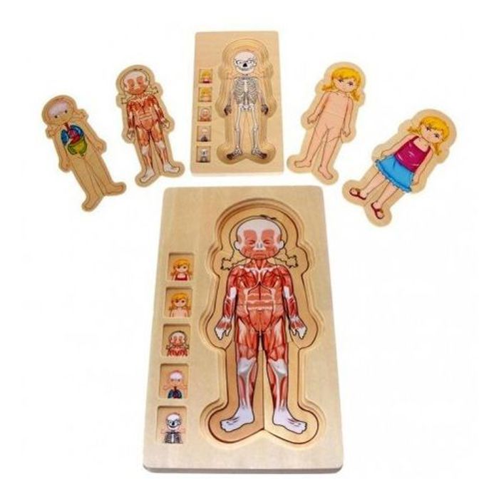 Puzzle en bois le corps humain garçon 5 Couches