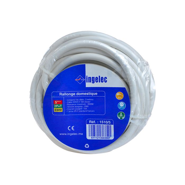 Câble rallonge domestique 1 prise 2 pôle + terre 5m blanc - INGELEC