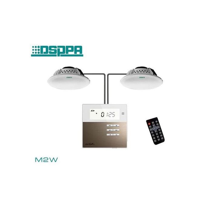 Dsppa Kit complet Amplificateur avec 2 haut-parleur de plafond Enceinte Plafonnier
