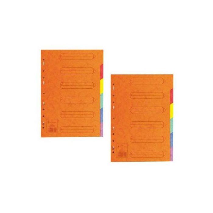 Lot 2 JEUX 6 Intercalaires Pour Classeur,Carton LUSTRÉE,220g,Format A4 21x29,7