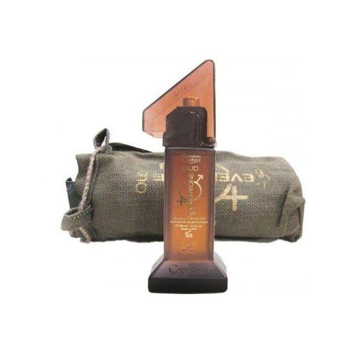 Eau de toilette Creation Lamis Everyone, 100ml, parfum frais et boisé pour homme