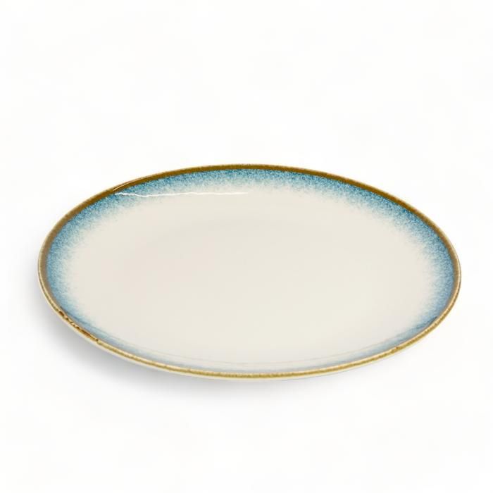 ASSIETTE PLATE PORCELAINE 25CM DIVERS COULEURS