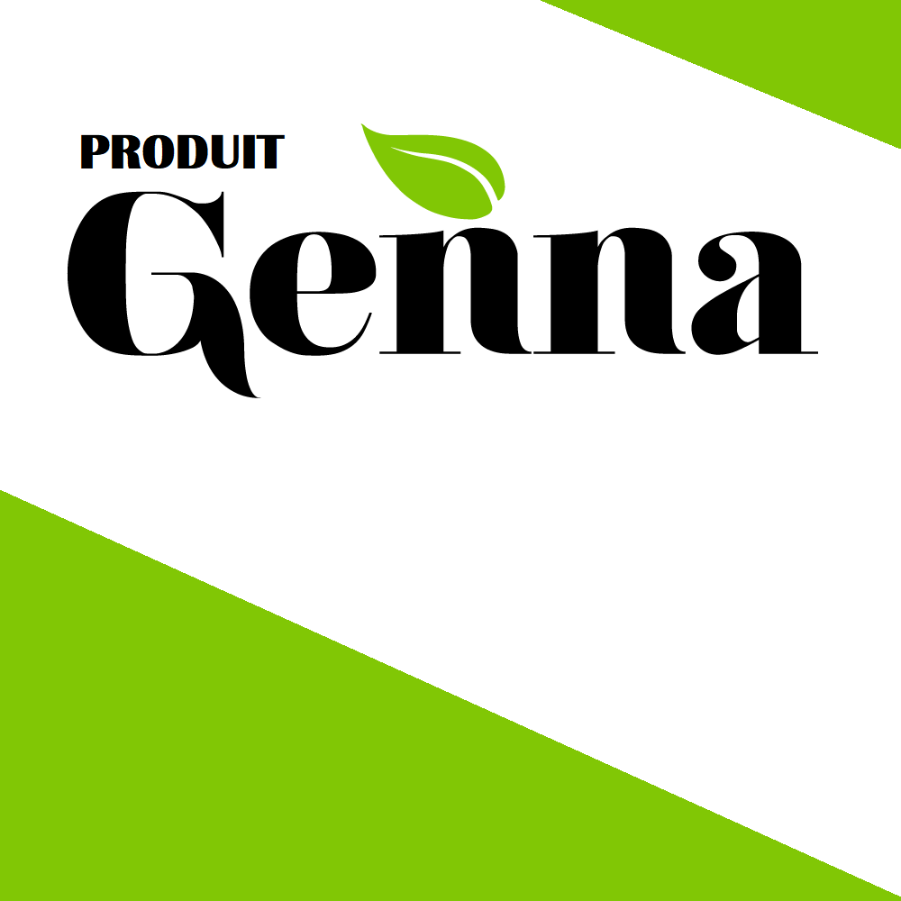 Déodorant stick à la menthe certifié Biologique - 45 gr
