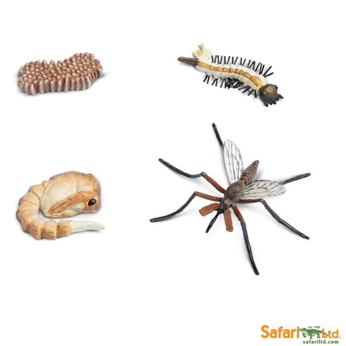 Figurines éducatives - EVEIL MONTESSORI - Cycle de vie d'un moustique - 5 figurines - 9 cm - 90,7 g