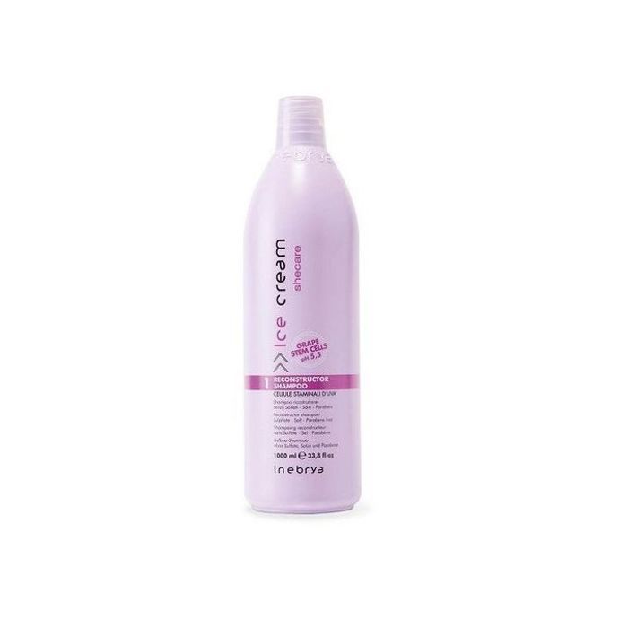 Shampoing Inebrya Ice Cream à la kératine 1000ml