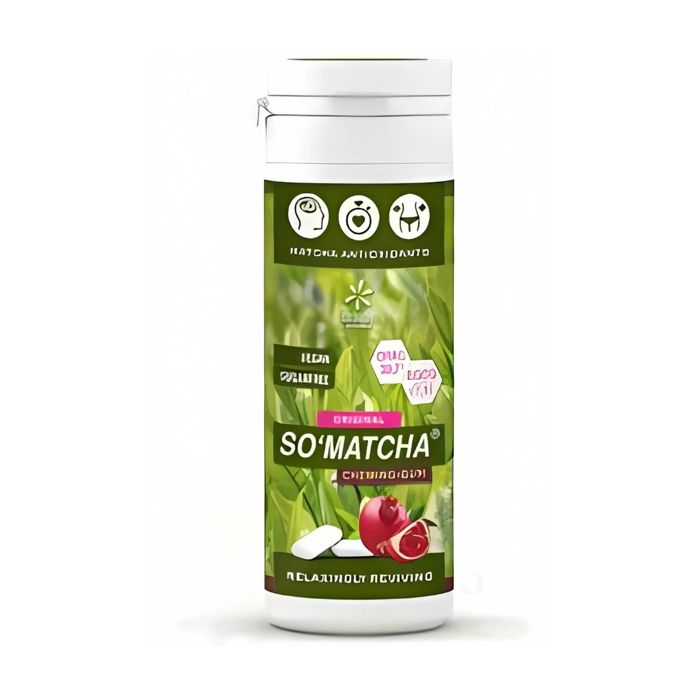 Chewing-gum - So Matcha - 30g - Antioxydant - Sans sucre - Énergisant