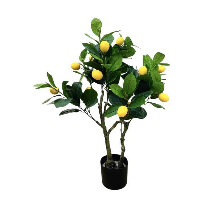 Objet Décoratif - Acacia - Petit Arbre Citronnier Artificiel - 80cm - Intérieur - Contemporain