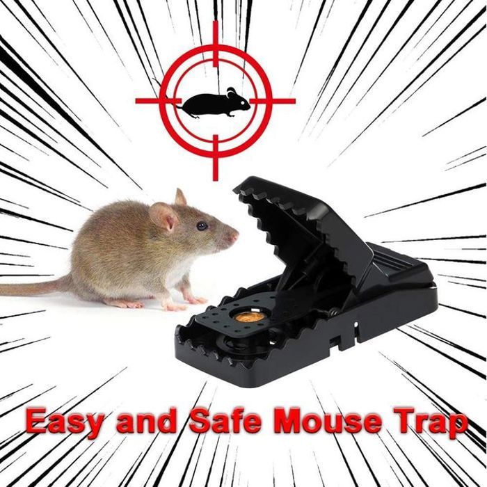 Souricière Piège à Souris 2pcs