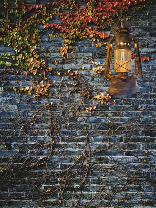 Lanterne Murale Vintage - MULTI LED - 38x18x18cm - Aluminium - Noir - 40W E27