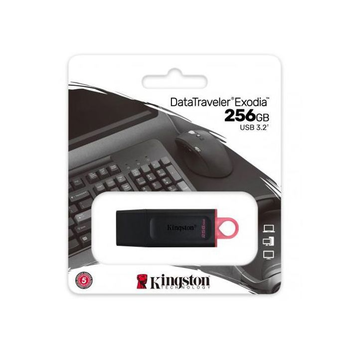 Kingston Clé USB 256GB 3.2 DataTraveler Exodia