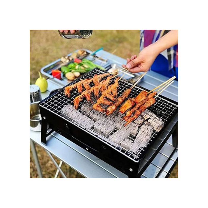 Petit Barbecue Pliant au Charbon de Bois, Camping en Plein Air