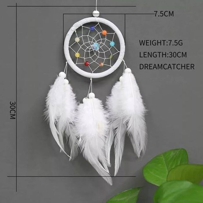 Attrapé-rêves Plume Perles Fait Main Motif Loup Dream Catcher Mur