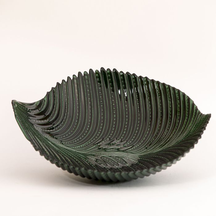 Palmier saladier 40 cm