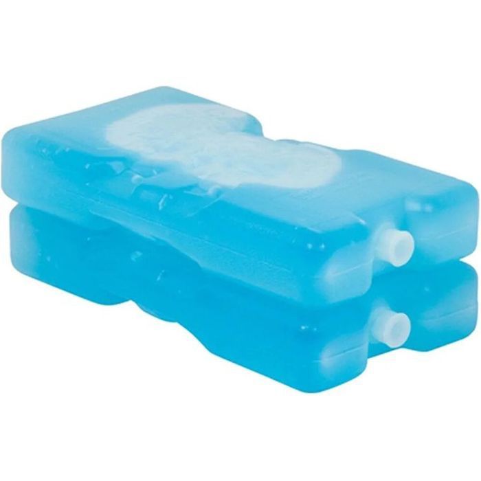 Curver Lot de 2 Accumulateur de Froid 400g – Blocs réfrigérants (2 pièces)
