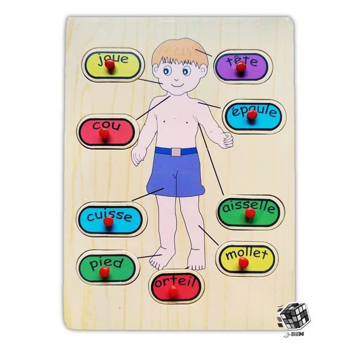Puzzle corps en bois, jeux d'apprentissage