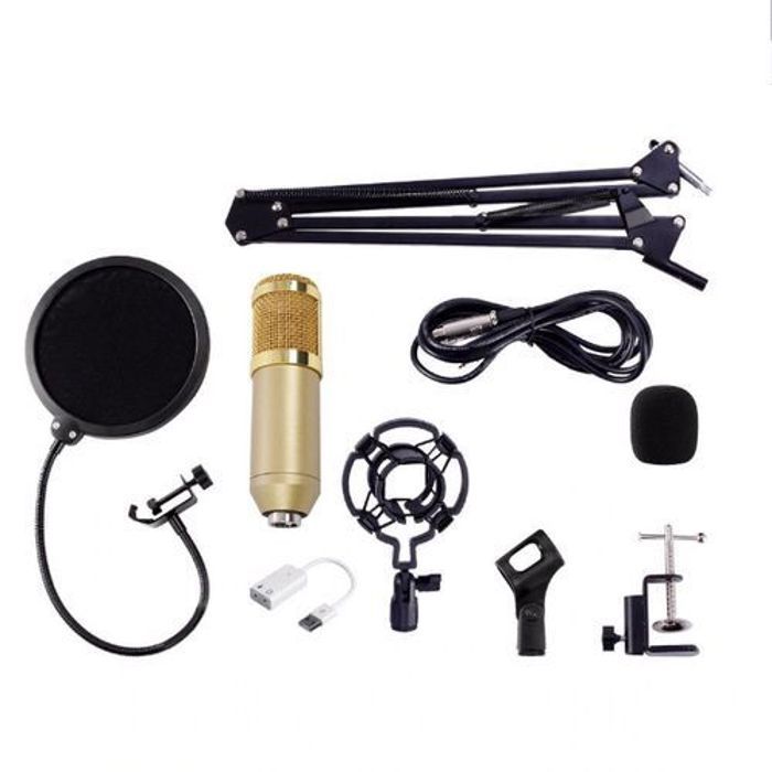 Microphone à Condensateur - BM - BM-800 - Professionnel - Enregistrement - Noir