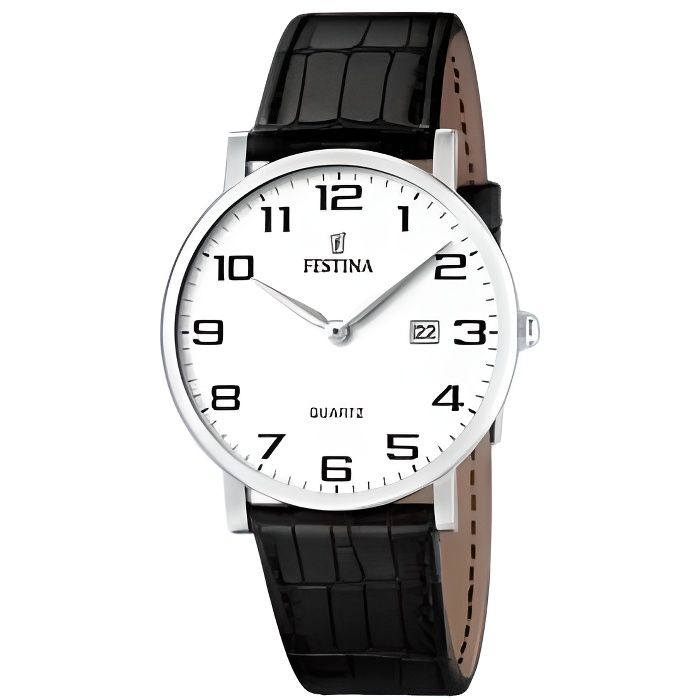 Montre Homme Festina F16476-1