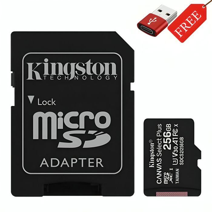 Carte Mémoire - Kingston - Canvas Select Plus - 256 Go - A1 - Adaptateur USB OTG Inclus