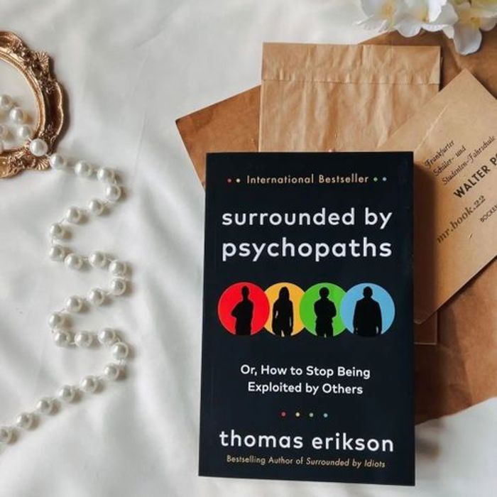 Livre - Thomas Erikson - Entouré de psychopathes - Développement personnel - Manipulation - Psychologie