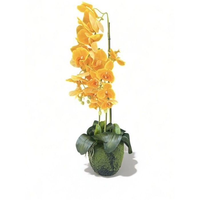 Plante artificielle - Non spécifié - Orchidee - 74cm - Vert - Intérieur