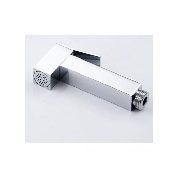 Douchette hygiène carré wc pour salle de bain couleur noir;DOUCHETTE INOX