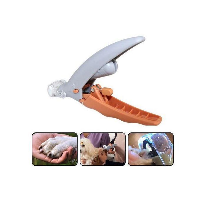 Coupe-ongles Chat Coupe-ongles Chien Coupe-ongles Animaux