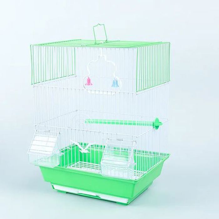 Star Cage oiseaux vert deux mongeoires