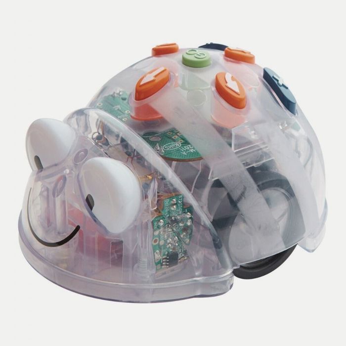 TTS - Blue Bot Robot programmable