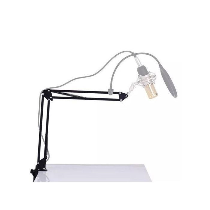 Support de Microphone Réglable Bras Flexible Stand