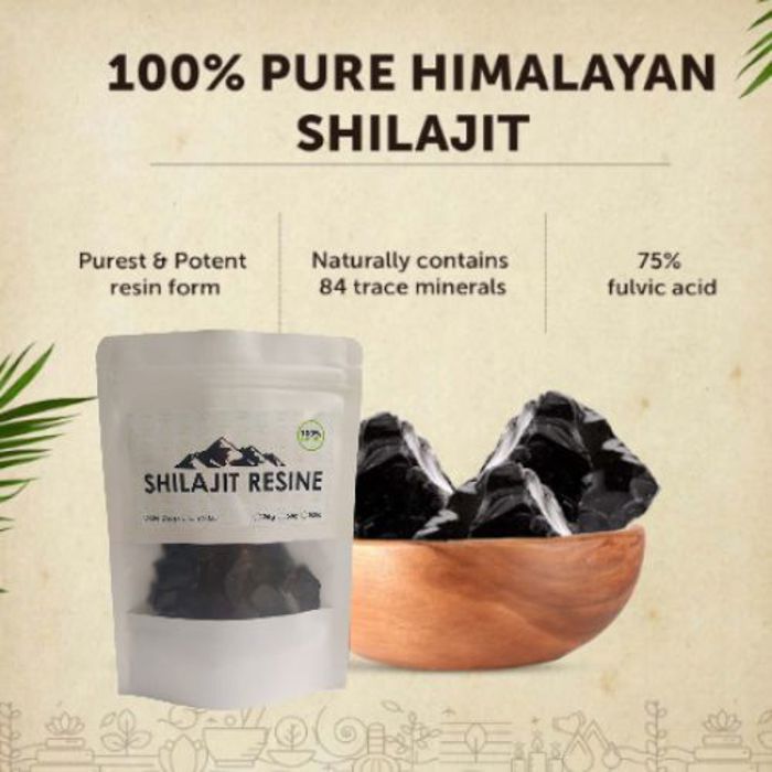 Résine Shilajit Pure l'Himalaya Immunité Puissance Endurance.Vitalité 50g