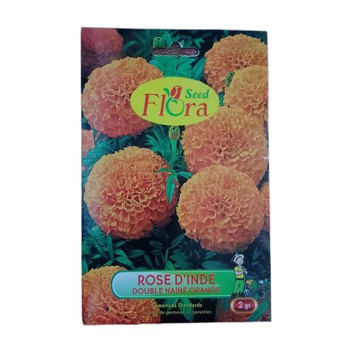 Flora Garden Rose d'Inde Double Naine Orange