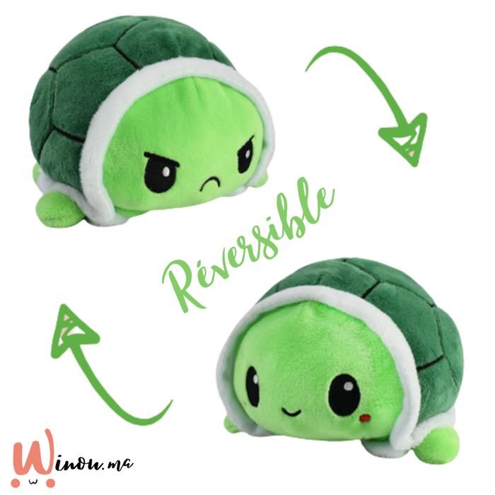 Tortue Réversible