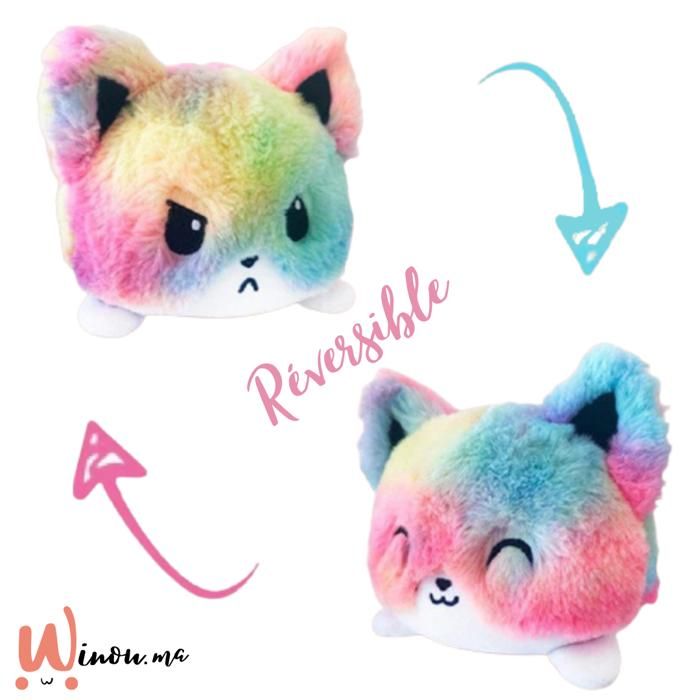 Chat Réversible