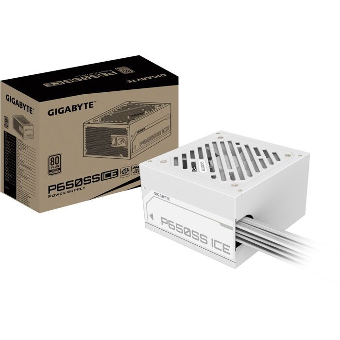 GIGABYTE P650SS ICE
