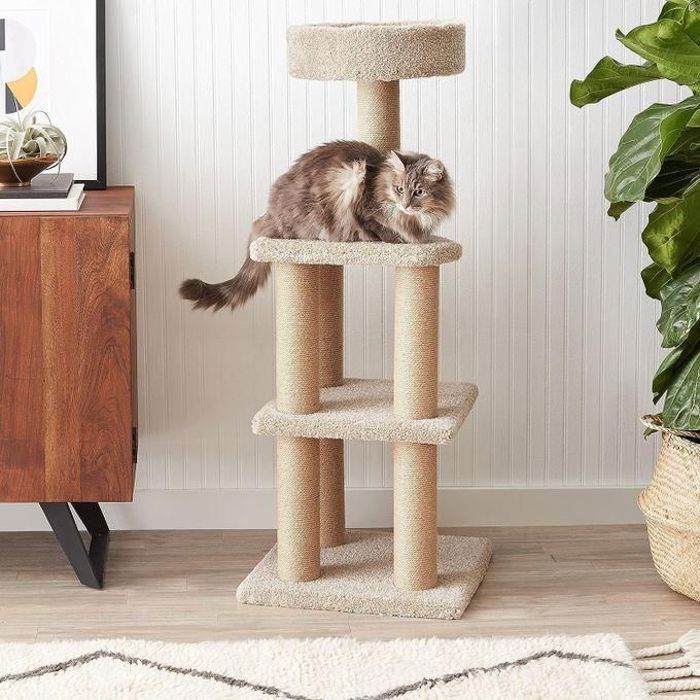 Arbre de chat