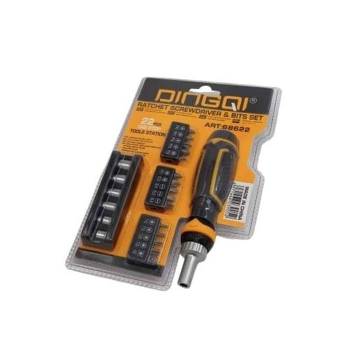 DINGQI Set 22pcs de Tournevis polyvalent, dispose d'un jeu de douilles à chevilles, un jeu de tournevis