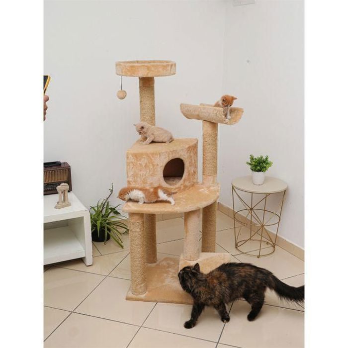 Arbre à chat - Non spécifié - Taille moyenne - 140 x 50 cm - Pour petits chats et chatons - Niche douillette