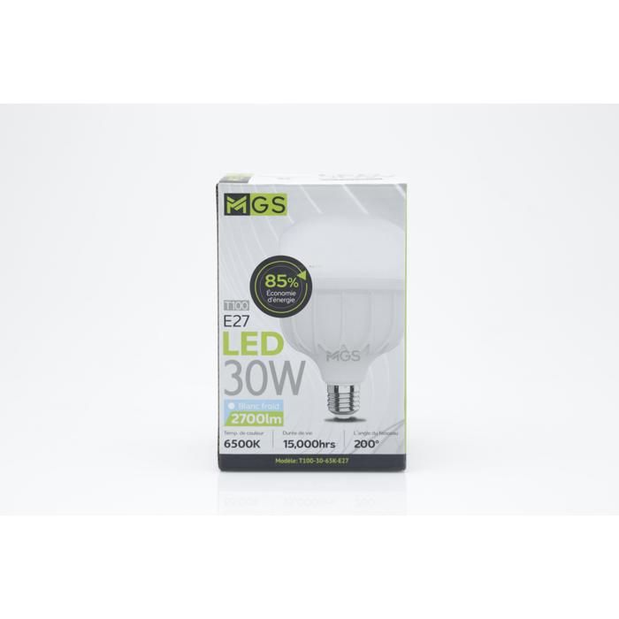 AMPOULE LED HIGH POWER T80 30W E27 MGS