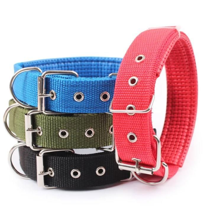 Sangle de cou en polyester pour chiens avec boucle de haute qualité(Couleur aléatoire)