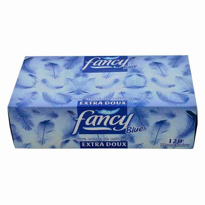 Boîte de mouchoirs blancs extra doux x120u - FANCY