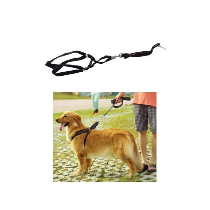 Ceinture et laisse de course en nylon pour chiens